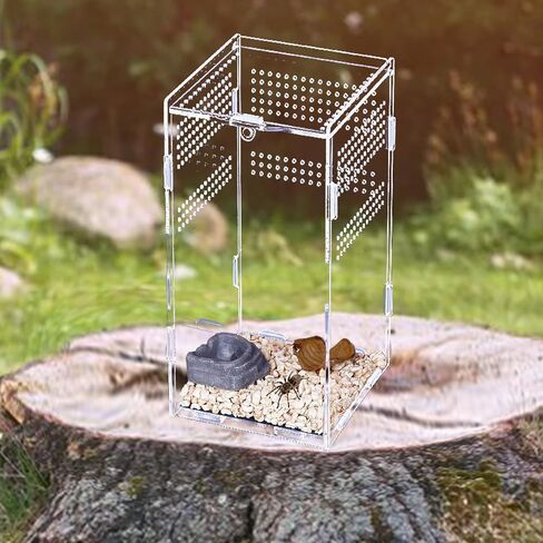 Reptile Terrarium Mini Acrylic Tank, 9.8x5.9x5.9inch Jumping Spider Enclosure Tarantula Enclosure Insects Feeding Tank Full View for Reptiles Mantis Lizard Habitat Snake Gecko in Saudi Arabia