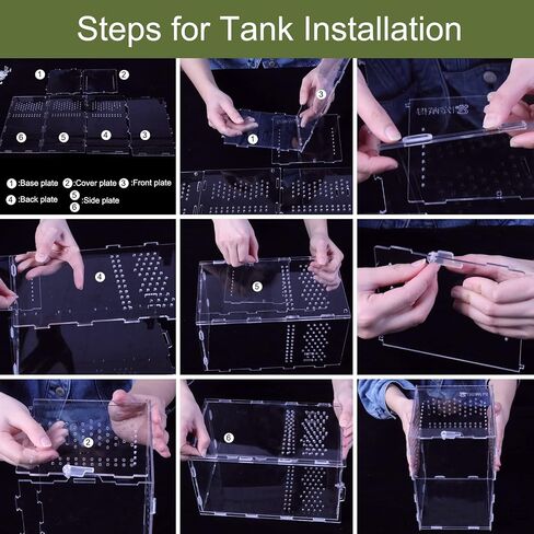 Reptile Terrarium Mini Acrylic Tank, 9.8x5.9x5.9inch Jumping Spider Enclosure Tarantula Enclosure Insects Feeding Tank Full View for Reptiles Mantis Lizard Habitat Snake Gecko in Saudi Arabia