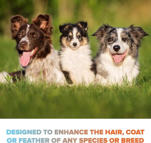 باناجينيكس | مجموعة شامبو وبلسم الحيوانات الأليفة (زجاجات سعة 16 أونصة) - آمنة لجميع الحيوانات، غير معطرة، تحتوي على الحمضيات والصبار in Kuwait