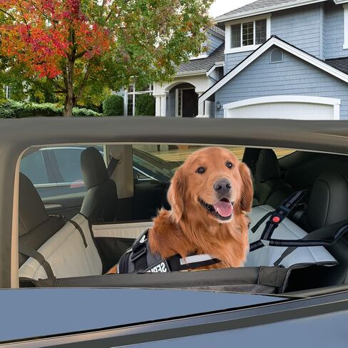 Dog Car Seat for Small Dog,Upgrade 2 in 1 Use Pet Car Booster Seat with Detachable Bottom Support Cushion for Car Back Seat,Elevated Dog Travel Car Seat with Adjustable Dog Car Seat Belt in Kuwait