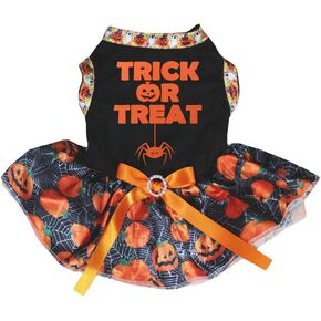 فستان Petitebella Trick Or Treat Spider Puppy Dog (برتقالي/أسود LED، متوسط) in Kuwait