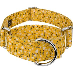 Country Brook Petz - طوق الكلاب Spring Cottagecore Martingale - مجموعة الربيع مع 6 تصميمات لفصل الربيع (1 1/2 بوصة، متوسط) in Kuwait