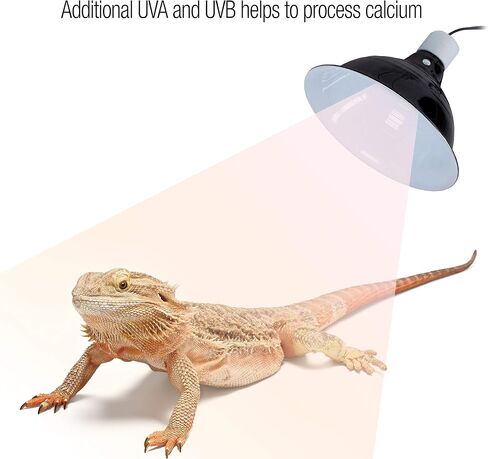 Zilla Calcium Supplement Spray 8 Fluid Ounces in Saudi Arabia