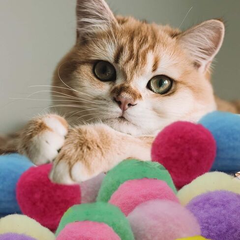 كرات العاب القطط امتونج من كيو زد اس جي دبليو ار، 80 قطعة من كرات بوم بوم بوم للقطط مقاس 1.2 انش وقاذفة لعبة كرة قطط، كرات تفاعلية ملونة وناعمة للقطط، العاب تدريب نشطة للقطط في الاماكن المغلقة in Kuwait