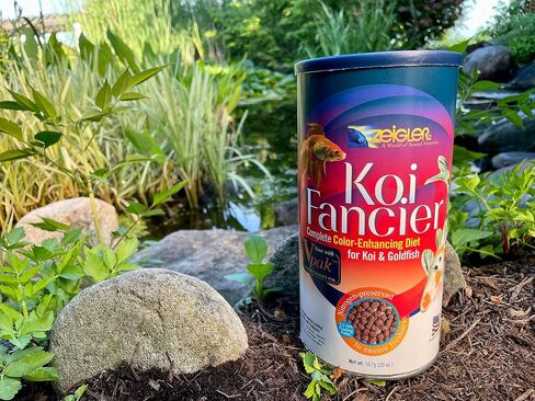 Zeigler Fish Food (20 OZ Canister) 5mm Floating Pellets for Koi and Goldfish, Performance Fancier Diet for Enhancing Color - Fortified with V pak and Spirulina in Saudi Arabia