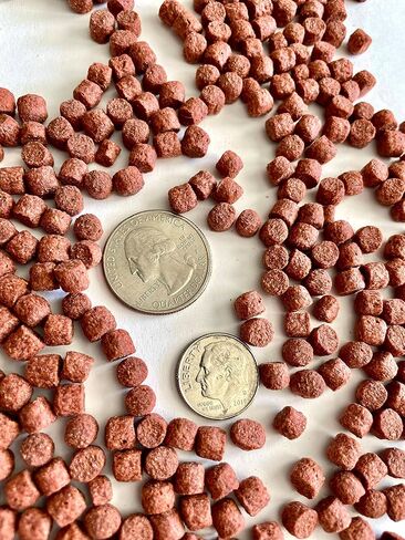 Zeigler Fish Food (20 OZ Canister) 5mm Floating Pellets for Koi and Goldfish, Performance Fancier Diet for Enhancing Color - Fortified with V pak and Spirulina in Saudi Arabia