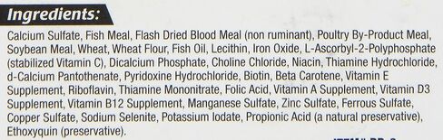 Zoo Med Laboratories AZMBB3 Giant Banquet Block Feeder, 1 Count (Pack of 1) in Saudi Arabia