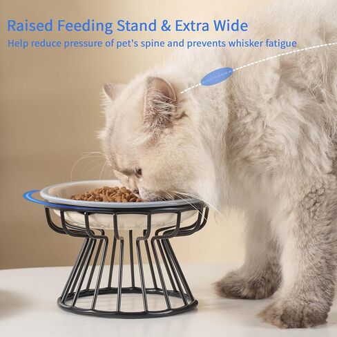 اوعية طعام مرتفعة للقطط من السيراميك المرتفع بعرض اضافي 6.5 انش مع حامل معدني مضاد للانزلاق، اطباق طعام للحيوانات الاليفة للقطط والكلاب الصغيرة in Kuwait