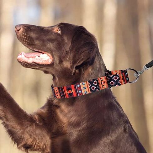 Murom Martingale Collar for Dogs Small Medium Large Tribal Geometric Pattern Training Wide Collars Puppy Adjustable Heavy Duty (Tribal, 15-20 inches) in Kuwait