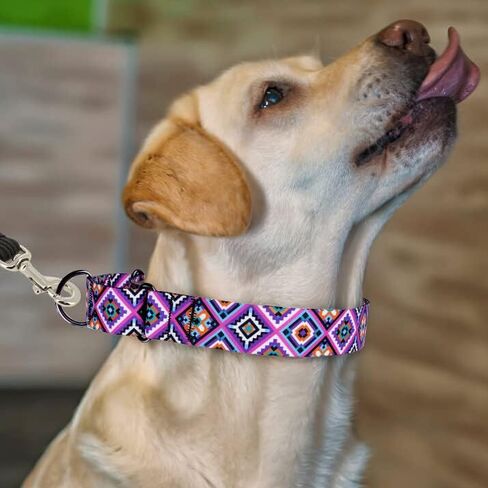 Murom Martingale Collar for Dogs Small Medium Large Tribal Geometric Pattern Training Wide Collars Puppy Adjustable Heavy Duty (Tribal, 15-20 inches) in Kuwait