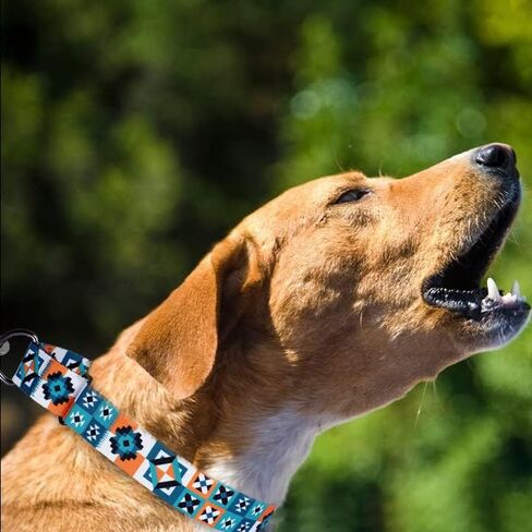 طوق مارتينجال للكلاب صغير ومتوسط وكبير بنمط هندسي قبلي، طوق واسع للتدريب على الجراء قابل للتعديل شديد التحمل (اسكندنافي، 15-20 انش) in Kuwait