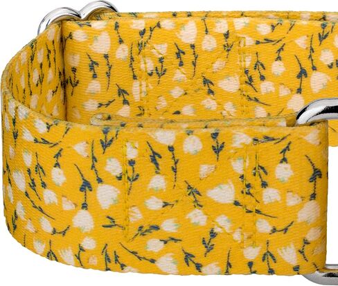 Country Brook Petz - طوق الكلاب Spring Cottagecore Martingale - مجموعة الربيع مع 6 تصميمات لفصل الربيع (1 1/2 بوصة، متوسط) in Kuwait