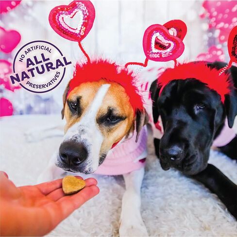 Old Mother Hubbard Natural Crunchy Dog Biscuits, Oven-Baked Healthy Treats for Dogs, Limited-Edition Holiday-Inspired Shapes (Peanut Butter - Valentine's Day, 6-Ounce Bag) in Kuwait
