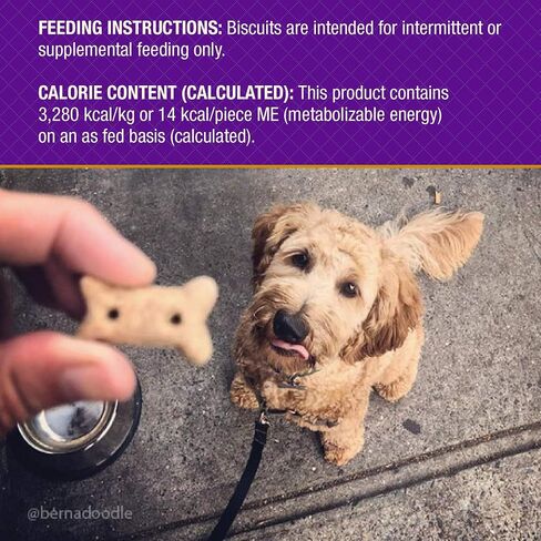 Old Mother Hubbard Natural Crunchy Dog Biscuits, Oven-Baked Healthy Treats for Dogs, Limited-Edition Holiday-Inspired Shapes (Peanut Butter - Valentine's Day, 6-Ounce Bag) in Kuwait