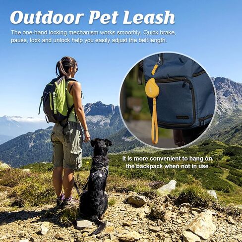 Retractable Tangle-Free Dog Leash Tractor for Small Large Medium Dogs, Mini Portable Pet Walking Leash with Automatic Shrinkable Cords Strong Nylon Tape One-Hand Brake, Pause, Lock Mango Shape (Mango) in Kuwait