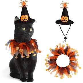 Cat Witch Halloween Costume Suit, Hmxpls Small Dogs & Cats Tutu Collar and Witch Pumpkin Hat Cute Costume Suit Kitten Outfit Clothing for Birthday Party Thanksgiving Christmas Holiday in Saudi Arabia