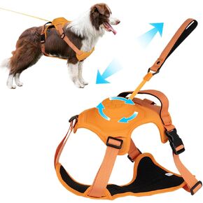 Dog Harness with Retractable Leash, No-Pull Dog Harness and Leash Set Adjustable Soft Padded Dog Vest with Easy Control Handle for Walking Hiking Training, Orange, XL in Kuwait