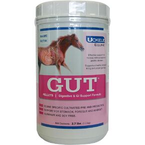 مكمل Uckle Gut Pellets للحصان - مكمل فيتامينات ومعادن للخيول من أجل الهضم الصحي - 2.7 رطل (رطل) in Kuwait