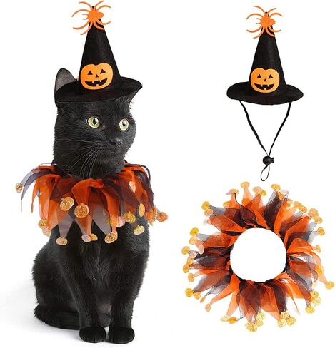 Cat Witch Halloween Costume Suit, Hmxpls Small Dogs & Cats Tutu Collar and Witch Pumpkin Hat Cute Costume Suit Kitten Outfit Clothing for Birthday Party Thanksgiving Christmas Holiday in Saudi Arabia