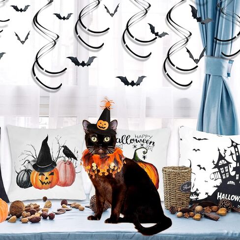 Cat Witch Halloween Costume Suit, Hmxpls Small Dogs & Cats Tutu Collar and Witch Pumpkin Hat Cute Costume Suit Kitten Outfit Clothing for Birthday Party Thanksgiving Christmas Holiday in Saudi Arabia
