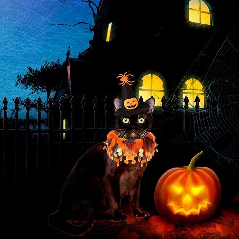 Cat Witch Halloween Costume Suit, Hmxpls Small Dogs & Cats Tutu Collar and Witch Pumpkin Hat Cute Costume Suit Kitten Outfit Clothing for Birthday Party Thanksgiving Christmas Holiday in Saudi Arabia