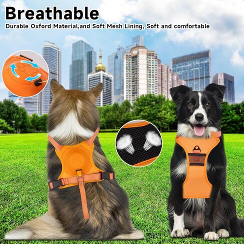 WHDPETS الكلب تسخير، عدم سحب الكلب تسخير والمقود مجموعة، قابل للتعديل لينة مبطن سترة الكلب مع مقبض تحكم سهل للتدريب على المشي لمسافات طويلة، برتقالي، L in Kuwait