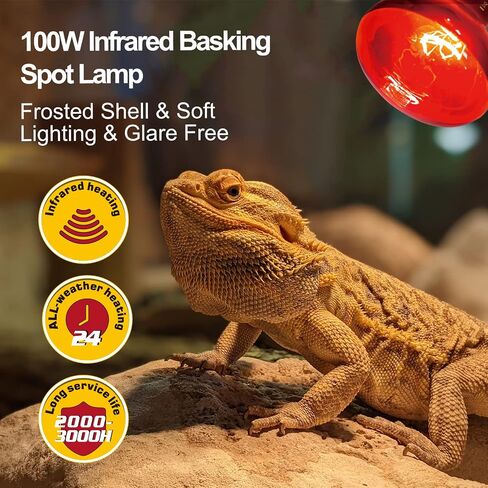 حديقة الحيوان repti 2 حزمة 100 واط لمبات مصباح الحرارة الزواحف، ترقية الزواحف ليلا ونهارا الفرح بقعة لمبة التحرير والسرد البرمائية مصباح الحرارة بالأشعة تحت الحمراء لمبة / UVA الفرح بقعة ضوء النهار التدفئة لمبة الضوء in Kuwait
