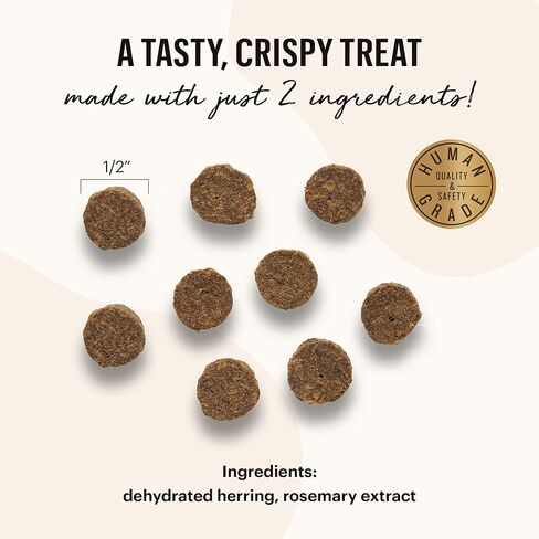 The Honest Kitchen Smittens Bites: Round Herring & Cranberry Cat Treats, 2 Oz Bag in Kuwait