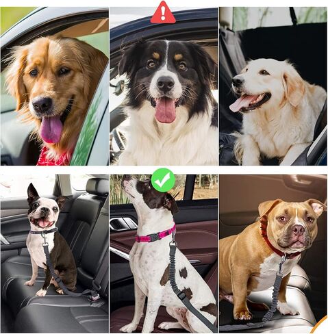 حزام مقعد الكلب مع عازل بنجي مرن، حزام مقعد الكلب قابل للتعديل، حزام مقعد السيارة المرن شديد التحمل للكلاب والقطط والحيوانات الأليفة in Kuwait