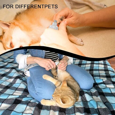 3 Pack Professional Replacement Dog Claw Grinder Bits Replaceable Heads Pet Tip Paws Nail Wheel for Nail Grinder in Kuwait