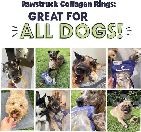 Pawstruck Natural Beef Collagen Rings for Dogs - Vet-Approved Long Lasting Alternative to Traditional Rawhide & Bully Sticks - High Protein Dental Treat w/Glucosamine & Chondroitin - 3 Pack in Kuwait