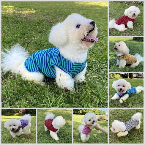 Dog Shirts Cotton Striped T-Shirts, Breathable Basic Vest for Puppy and Cat, Super Soft Stretchable Doggy Tee Tank Top Sleeveless, Fashion & Cute Color for Boys and Girls (XXL, Pink+Green) in Saudi Arabia