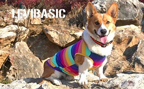 Dog Shirts Cotton Striped T-Shirts, Breathable Basic Vest for Puppy and Cat, Super Soft Stretchable Doggy Tee Tank Top Sleeveless, Fashion & Cute Color for Boys and Girls (XXL, Pink+Green) in Saudi Arabia