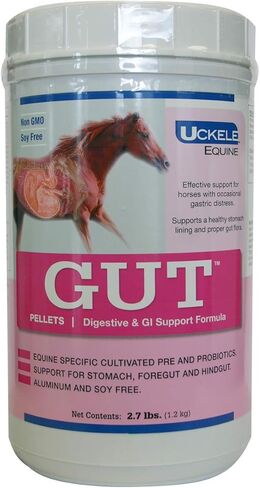 مكمل Uckle Gut Pellets للحصان - مكمل فيتامينات ومعادن للخيول من أجل الهضم الصحي - 2.7 رطل (رطل) in Kuwait
