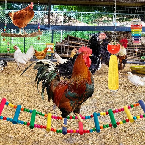 ألعاب الدجاج من CheeFun 7 قطع للقفص: ملحق حظيرة الدجاج للطيور - مرآة إكسيليفون الدجاج وألعاب النقر لببغاء طيور الدجاج in Kuwait