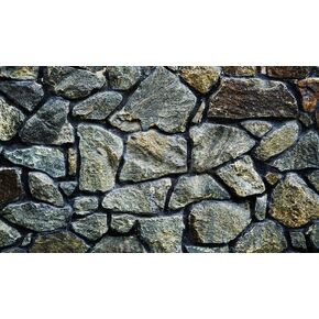 Moss Rock Stone Aquarium Background Poster for Reptile Fish Tank Backdrop Sticker Decorations Selfadhesive (24" x 12"/ 61 x 30cm) in Saudi Arabia