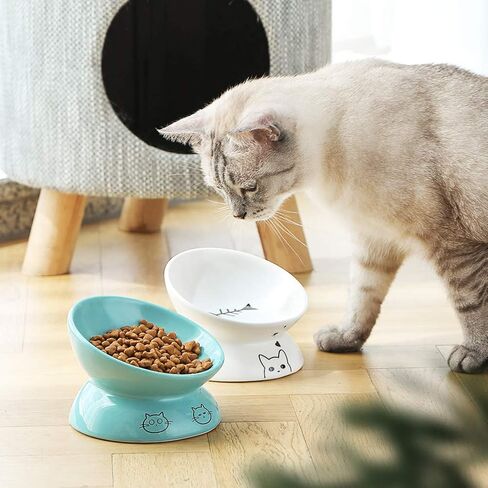 Sweejar Ceramic Raised Cat Bowls, Slanted Cat Dish Food or Water Bowls, Elevated Porcelain Pet Feeder Bowl Protect Cat's Spine, Stress Free, Backflow Prevention (BlackNew) in Kuwait