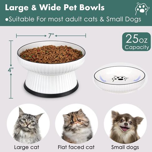Large Ceramic Elevated Cat Food Bowl,Raised Shallow Cat Water Bowl with Anti-Slip Strip for Cats & Small Dogs,Stress Free Food Feeding Dish,Whisker Fatigue,Anti Vomiting,Non Tipping(White) in Kuwait