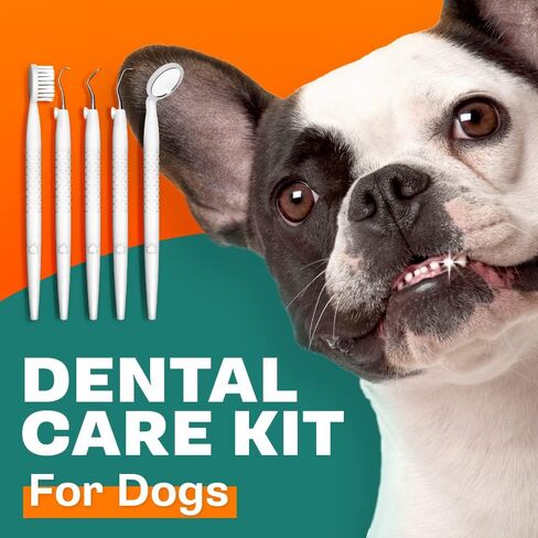 Dr. Speed’s Dog Dental Kit - 7 Piece | At Home Pet Cleaning & Care | Dog Toothbrush, Professional Polisher, Tartar Cleaner, Plaque Scraper & Stain Remover | Stainless Steel Teeth Tools for Cats & Dogs in Kuwait