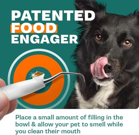 Dr. Speed’s Dog Dental Kit - 7 Piece | At Home Pet Cleaning & Care | Dog Toothbrush, Professional Polisher, Tartar Cleaner, Plaque Scraper & Stain Remover | Stainless Steel Teeth Tools for Cats & Dogs in Kuwait