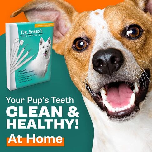 Dr. Speed’s Dog Dental Kit - 7 Piece | At Home Pet Cleaning & Care | Dog Toothbrush, Professional Polisher, Tartar Cleaner, Plaque Scraper & Stain Remover | Stainless Steel Teeth Tools for Cats & Dogs in Kuwait