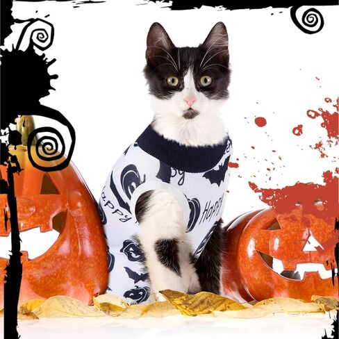 Xuniea 4 Pieces Halloween Cat Surgery Recovery Suit Cat Wound Surgical Suit After Surgery Pajamas for Halloween Cat Costumes(Small) in Kuwait