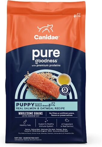 canidae الجرو النقي وصفة السلمون الحقيقي والشوفان للكلاب الجافة 24 رطل in Kuwait