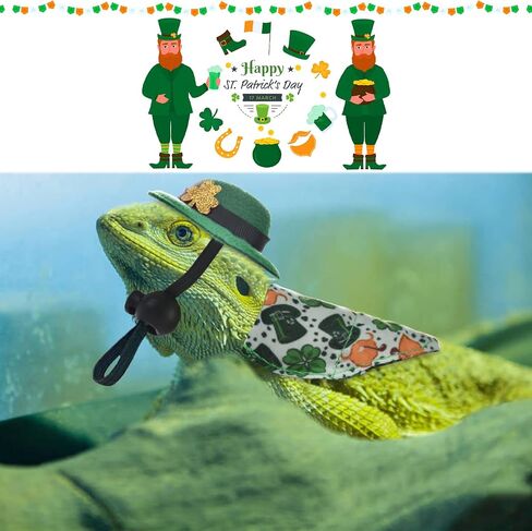 Vehomy 4Pcs Saint Patrick's Day Bearded Dragon Hats Tutu Skirt Outfit Lizard Bowler Hat with Shamrock Décor Small Pet St Patrick's Day Tutu Accessories Costume for Lizard Hamster Leopard Gecko in Kuwait