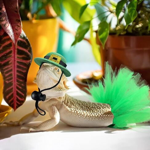 Vehomy 4Pcs Saint Patrick's Day Bearded Dragon Hats Tutu Skirt Outfit Lizard Bowler Hat with Shamrock Décor Small Pet St Patrick's Day Tutu Accessories Costume for Lizard Hamster Leopard Gecko in Kuwait