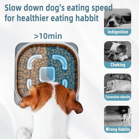 أوعية الكلب المغذية البطيئة، وعاء التغذية البطيء للكلاب من Nayelf من الفولاذ المقاوم للصدأ، وعاء الكلب المغذية البطيئة مع حصيرة لعق غير قابلة للانزلاق، أوعية التغذية البطيئة للكلاب، وعاء الوجبات الخفيفة، تغذية الطعام البطيء للكلب، الأكل الصحي البطيء in Kuwait