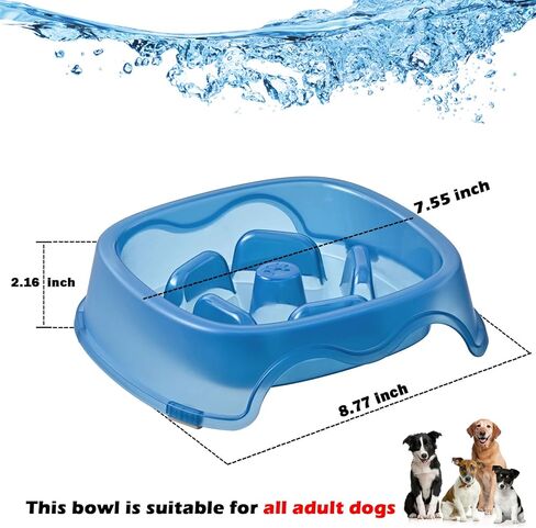 CAISHOW تغذية بطيئة الكلب وعاء تغذية بطيئة الأكل يبطئ وعاء الطعام للكلاب الصغيرة المتوسطة الكبيرة يساعد في الهضم السليم وعاء الحيوانات الأليفة صحية بطيئة 2PCS (الأزرق والبرتقالي) in Kuwait