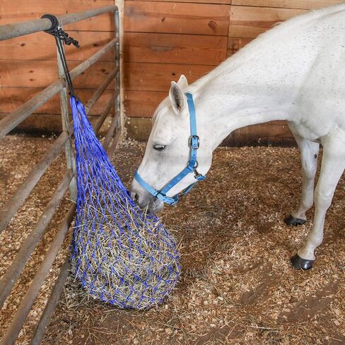 Majestic Ally Hay Net, Set of 2, Length - 54", Holes 3"x3" for Horses (Purple) in Saudi Arabia