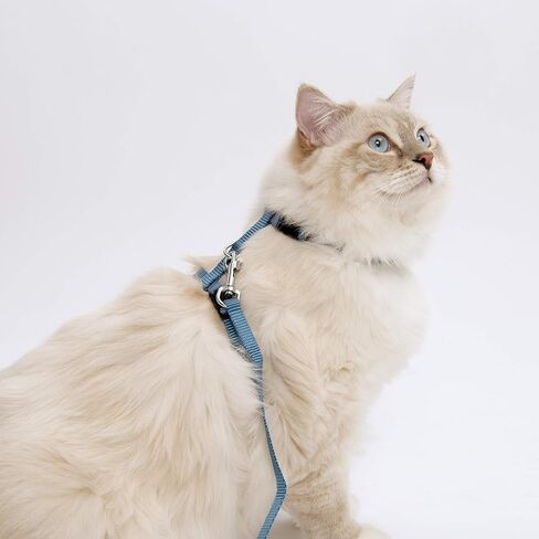 Catit Nylon Adjustable Cat Harness and Leash Set, Small, Blue in Saudi Arabia