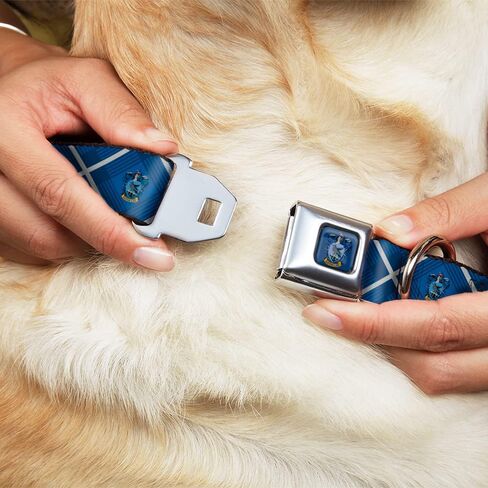 Dog Collar Seatbelt Buckle Harry Potter Ravenclaw Crest Plaid Blues Gray 9.5 to 13 Inches 1.0 Inch Wide in Saudi Arabia